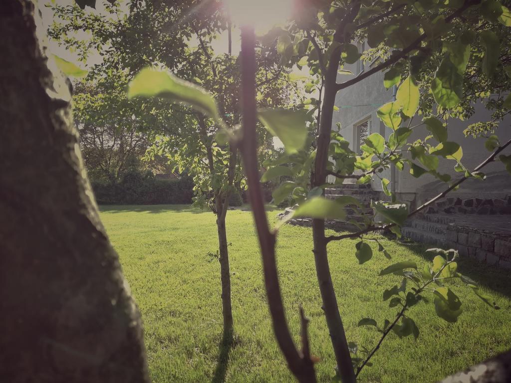 Pensiunea Apolka Panzió Covasna Exterior foto